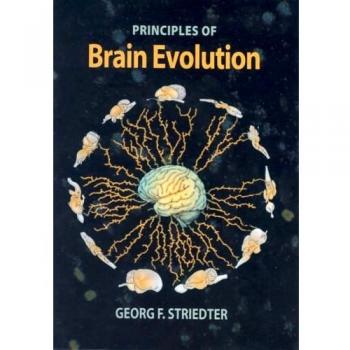 Brain Evolution by Georg F. Striedter