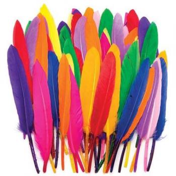 Mini Coloured Quill Feathers Pack (80 Pieces)