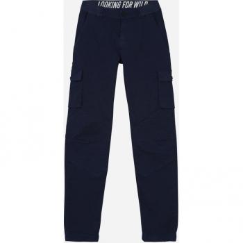 Blaues Herren-Cargo-Modelle – Kletterhose Fritzroy