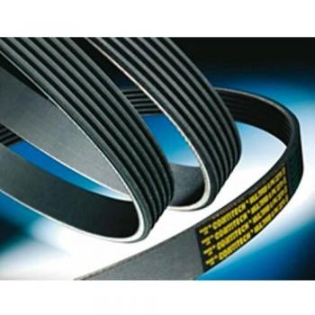Continental 8PK1400 Keilriemen