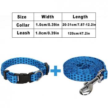 Collier et laisse pour chiots en un seul ensemble