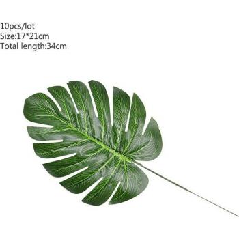 Simulation Palm Leaves