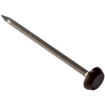 65mm Stainless Steel Cladding Nail in Brown (100 Count)