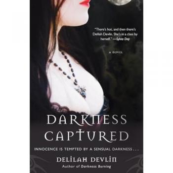 Darkness Captured: A Novel (Dark Realm Series, 4)