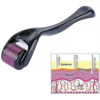 Dispositif de Soin de Peau Titanium 540 Micron Aiguille Noire