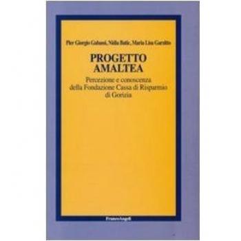 Progetto Amaltea. Percezione e conoscenza della Fondazione Cassa di Risparmio di Gorizia