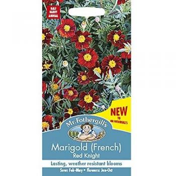 Mr Fothergill's French Marigold Seeds