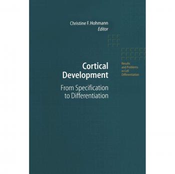 Cortical Development