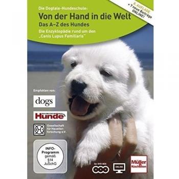 Von der Hand in die Welt