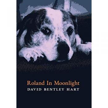 Roland in Moonlight