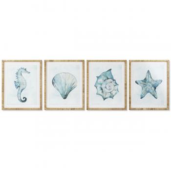 Cornice Trasparente Mediterranea ESPRIT Conchiglia 55 x 2,5 x 70 cm (4 unità)