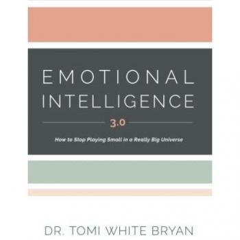 Emotional Intelligence 3. 0: How to Stop Playing Small in a Really Big Universe