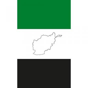 Afghanistan: What Went Wrong?