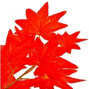 VidaXL Indoor Outdoor Maple Tree with Pot 120cm