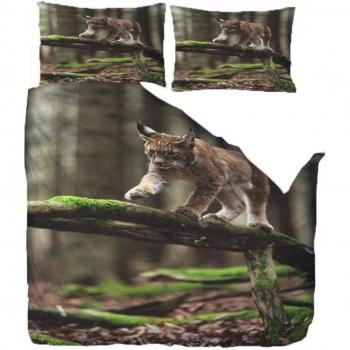 Lynx Oculto