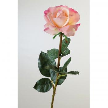Rose Sur Tige AMELIE