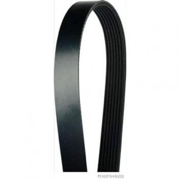 Cinghia multirib Herth-Buss J1071600