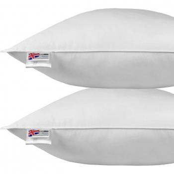 Duck Feather Euro Pillow Pair