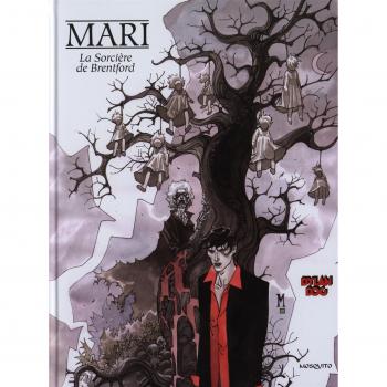 LA SORCIERE DE BRETFORD