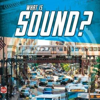 What Is Sound by Jody S. Rake