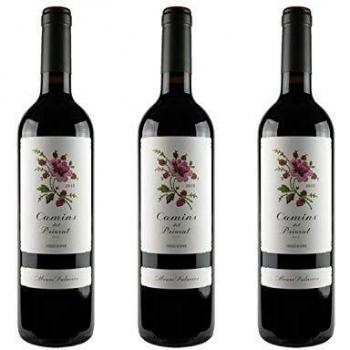 Camins del Priorat 2021