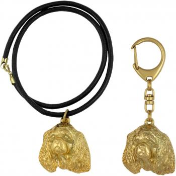 Accessoire Chien Cavalier King Charles