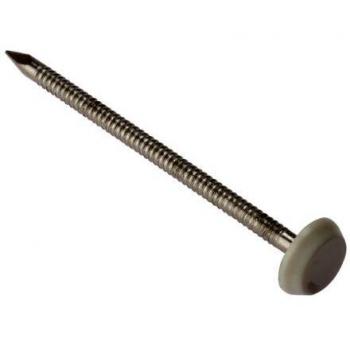 FOR Cladding Nail 65mm Box of 100 White Stainless