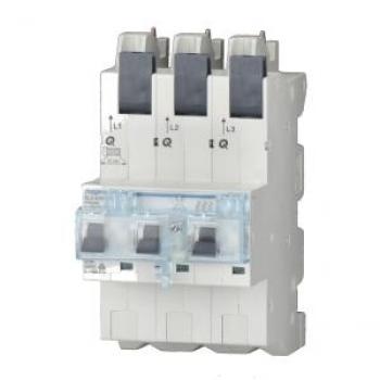Hager HAG HTS340C SLS-Schalter 3P 40A für Sammelschiene, Elektronikzubehör + Gehäuse
