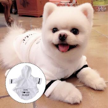 Albornoz para Mascotas Capucha XS Blanco