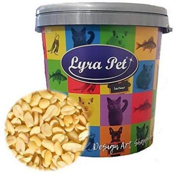 Lyra Pet 10 kg Erdnusskerne SPLITS – Naturwildvogelfutter, 30 L Tonne