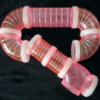 Tunnel de Bricolage pour Hamsters