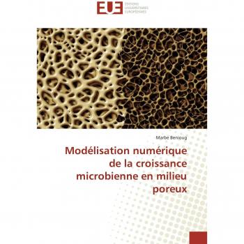 Benioug, Marbe: Modélisation numérique de la croissance microbienne en milieu poreux