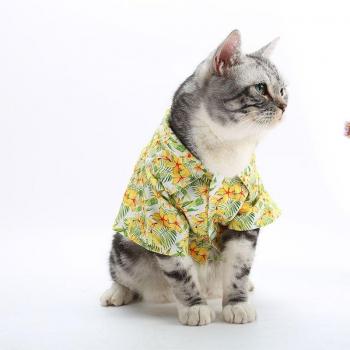 Kat T-shirt voor Huisdieren