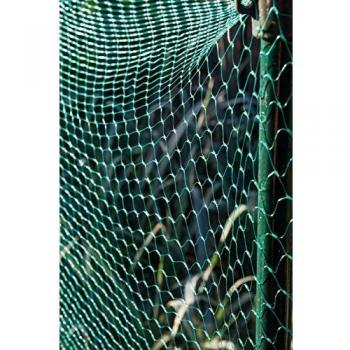 Ambassador Garden Net Green 15mm x 6m x 2m