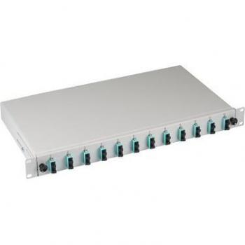 Server Connect Box SC50/125µ 12 Pigtail Remoti + 6 Accoppiatori – Grigio
