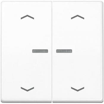 Jung JG BTAS17102PWW Bluetooth Taster 2-fach alpinweiß