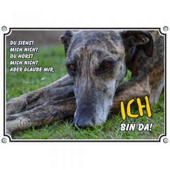 Metallschild „PetSigns Galgo“ – UV‑beständig, 1A, DIN A4