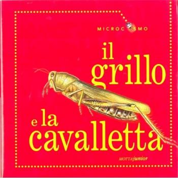 Il grillo e la cavalletta