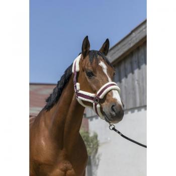 Vogue Cozy Burgundy Neck Guard