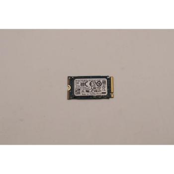Lenovo M.2 2242 SSD (512 GB, ASM)