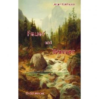 Johann Steinhauser: Feuer und Wasser