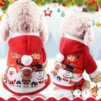 Tenue polaire pour petits compagnons