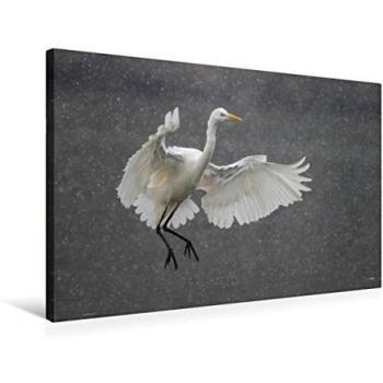 Wilfried Martin 75 × 50 cm Textil‑Leinwand – Schneefall‑Punktlandung Edition