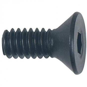 Herramienta KS Tools con Tornillo de Cabeza Fresada 515.5550-R005P