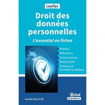 Droit des données personnelles : l'essentiel en fiches : histoire, définitions, textes sources, RGPD & DPO, schémas & exemples pratiques