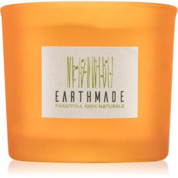 Respiro D'Aria Candela Profumata 180 g