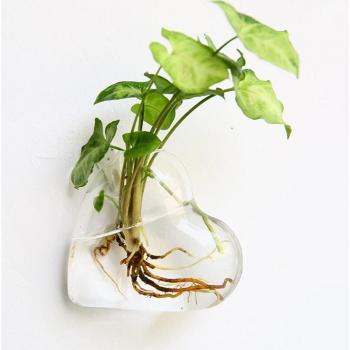 Glass Wall Planter Fish Bowl