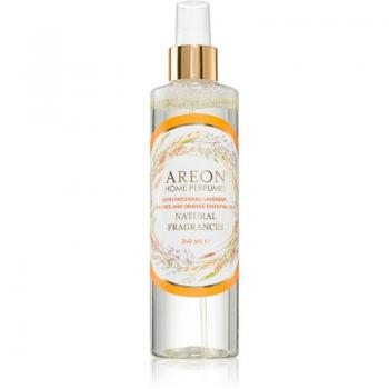 Déodorant Propre Areon 260 ml