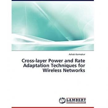 Cross-layer Power and Rate Adaptation Techniques for Wireless Networks