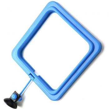 Buoyant Fish Feeder Accessory